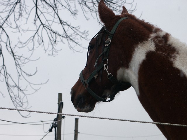 Raichberg 2007 Bild 40